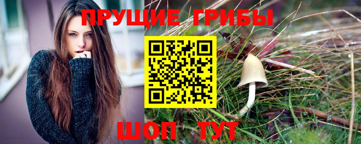 Галлюциногенные грибы мухоморы Борзя